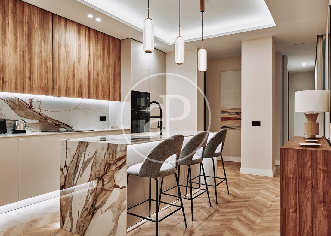Apartment in Centro, Madrid, Spain 1 - 16256815