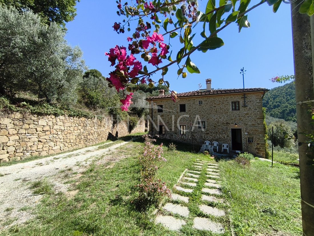 House in Center, Vinci, Tuscany 1 - 16259286
