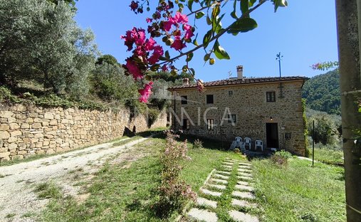 House in Center, Vinci, Tuscany 1