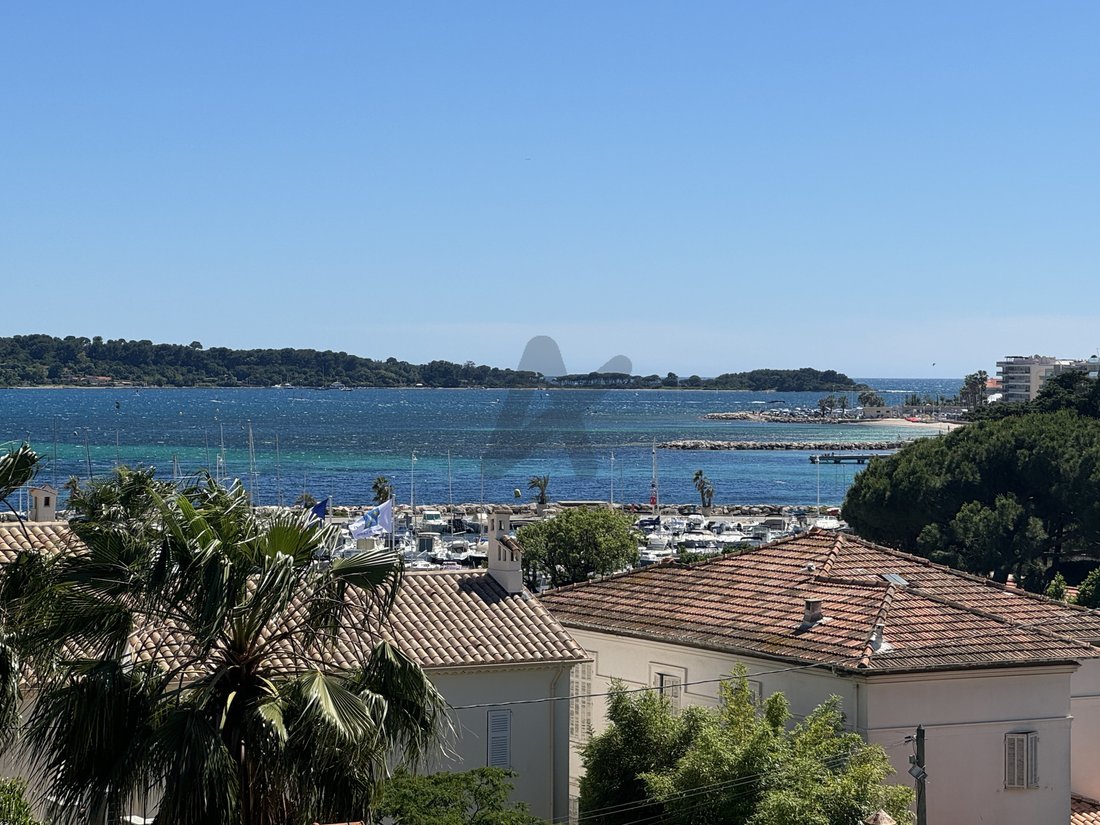Apartment in Cannes, Provence-Alpes-Côte d'Azur, France 1 - 16256006