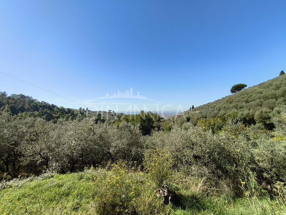 House in Center, Vinci, Tuscany 2 - 16259286