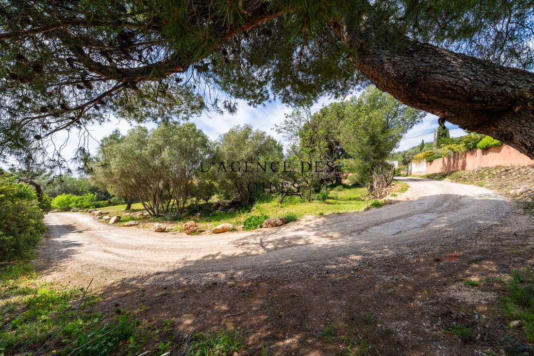Land in Bandol, Provence-Alpes-Côte d'Azur, France 5 - 16256186