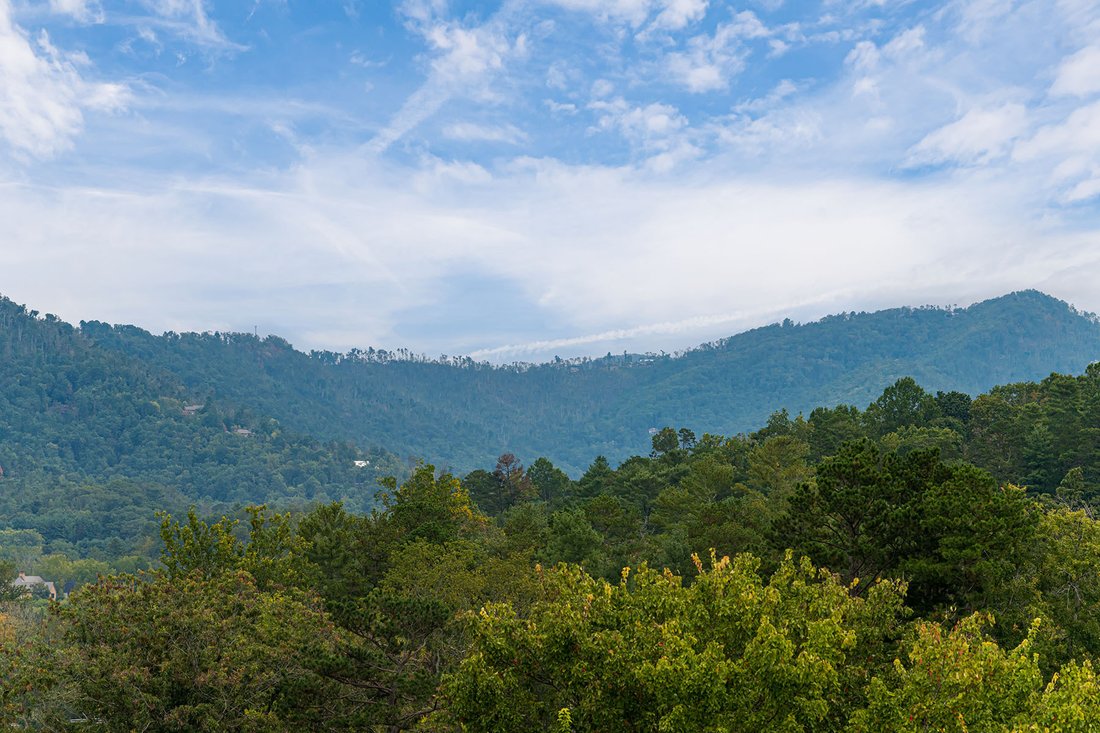 House in Asheville, North Carolina, United States 5 - 16255029