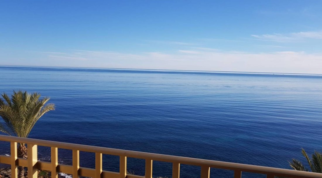 Apartment in Torrevieja, Valencian Community, Spain 2 - 16258065