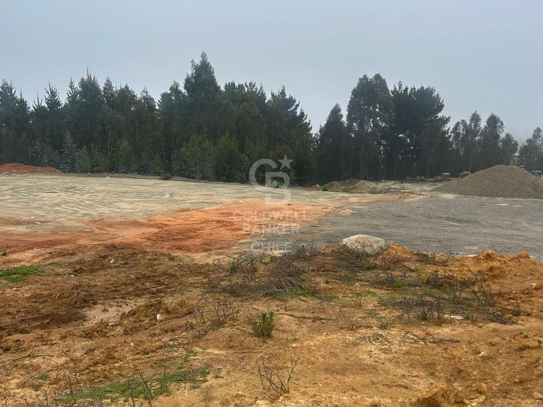 Land in Alto del Puerto, Valparaíso, Chile 4 - 16257379