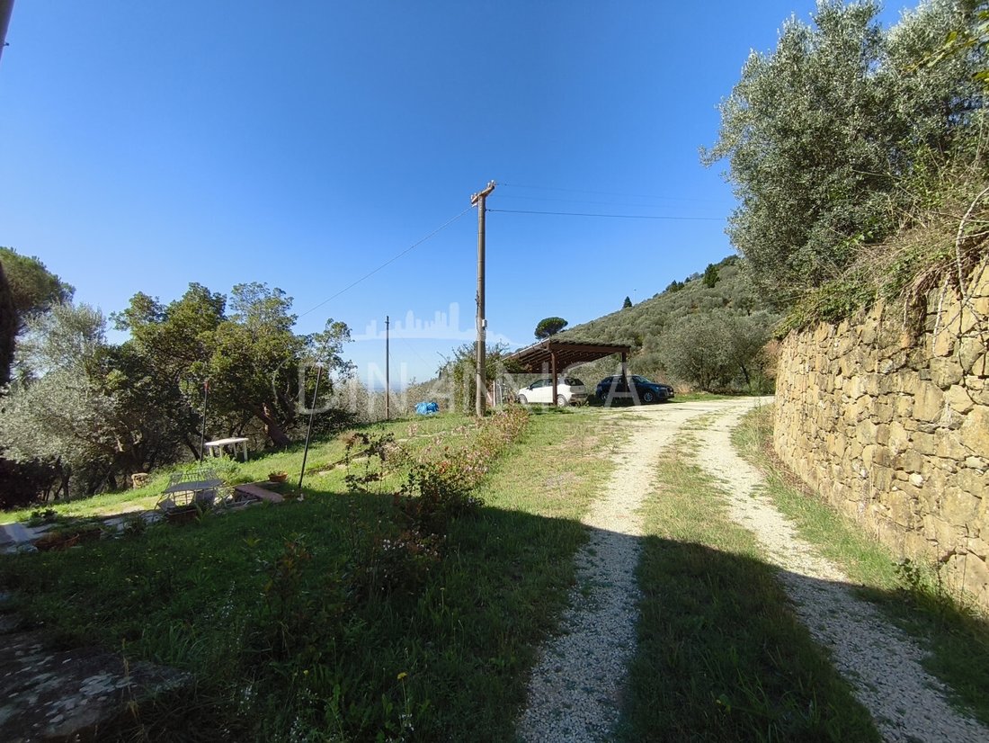 House in Center, Vinci, Tuscany 4 - 16259286