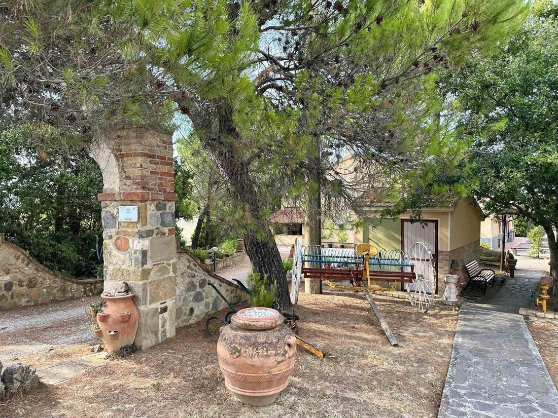 Cinigiano, Tuscany, Italy 5 - 16258241