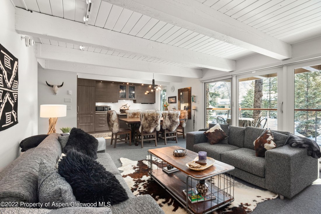House in Aspen, Colorado, United States 3 - 16258742