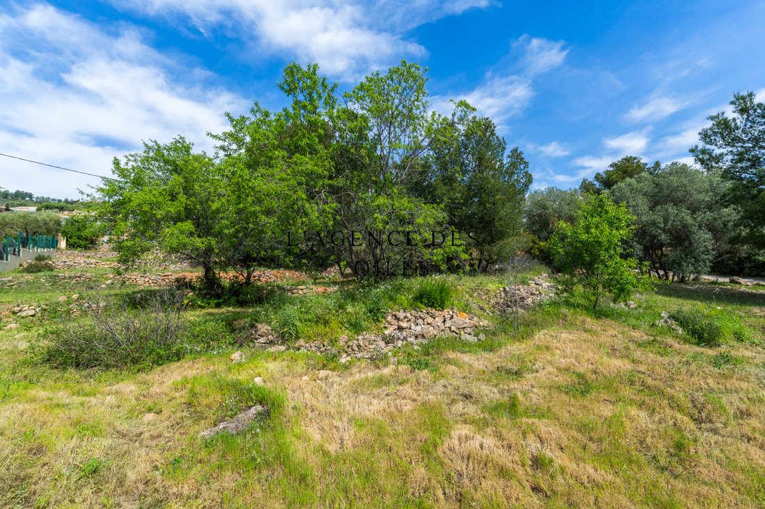 Land in Bandol, Provence-Alpes-Côte d'Azur, France 4 - 16256186