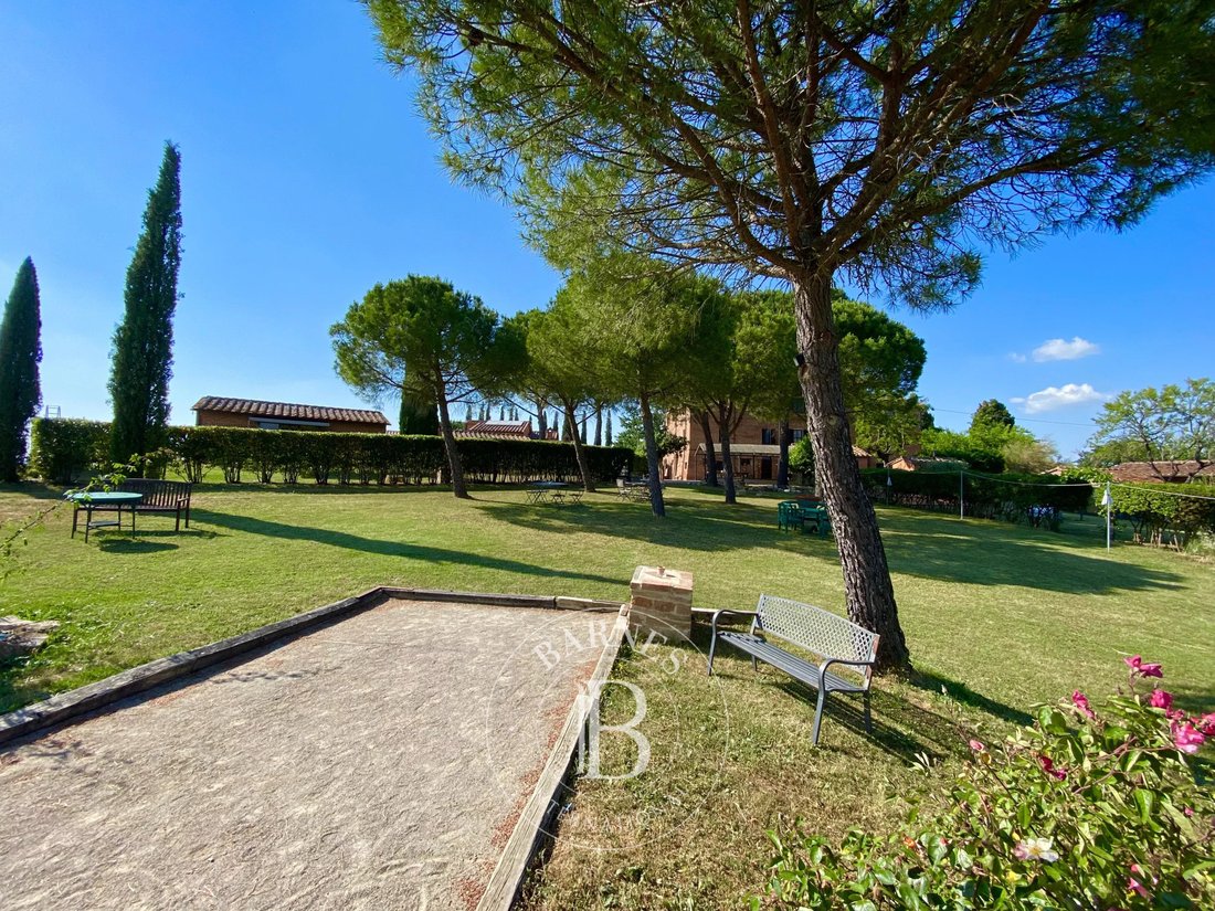 Castiglione del Lago, Umbria, Italy 2 - 16255325