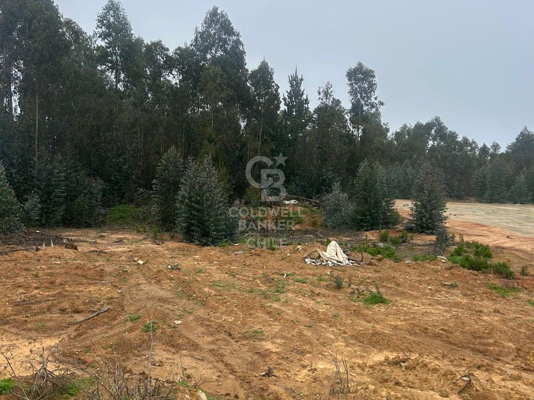 Land in Alto del Puerto, Valparaíso, Chile 3 - 16257379