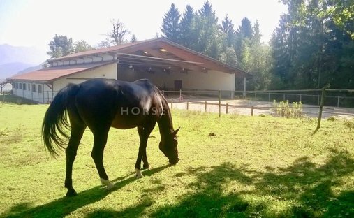 House in Sud, La Roche-sur-Foron, France 1