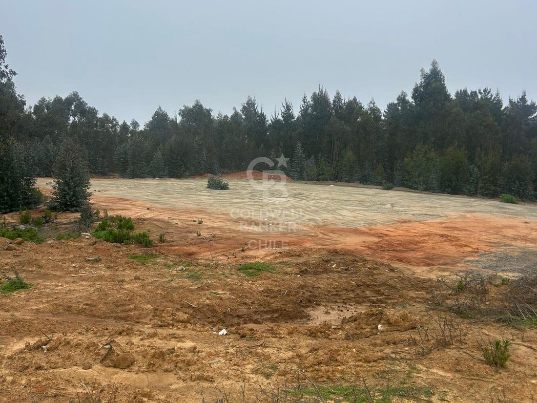 Land in Alto del Puerto, Valparaíso, Chile 5 - 16257379
