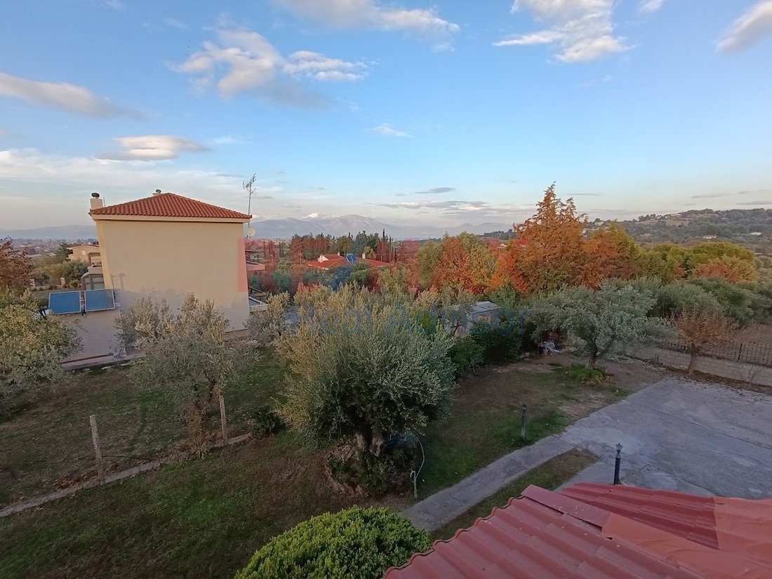 Condo in Oropos, Attica, Greece 2 - 16259448