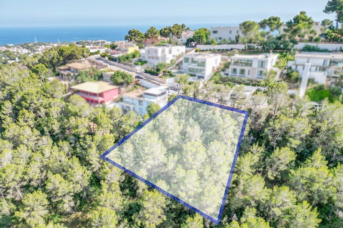Villa in Balearic Islands, Spain 1 - 16256245