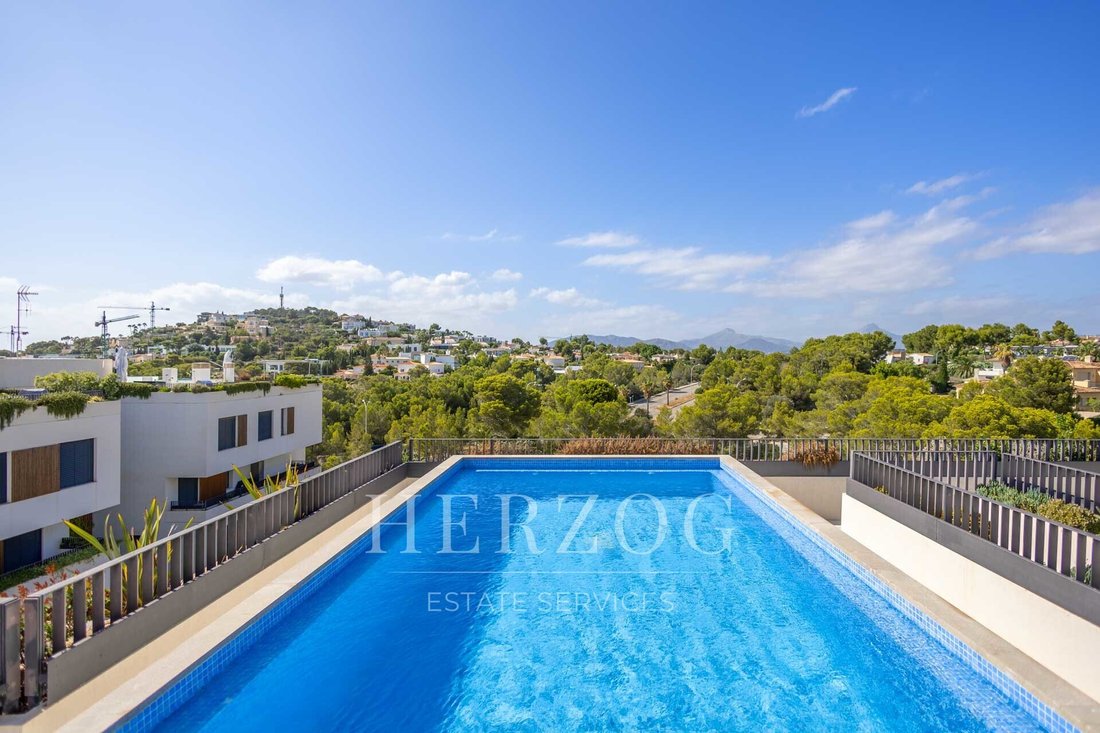Apartment in Calvia, Balearic Islands, Spain 4 - 16256710