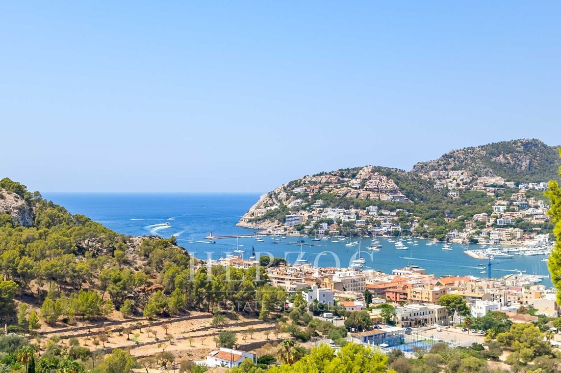 Villa in Port d'Andratx, Andratx, Balearic Islands 3 - 16256733