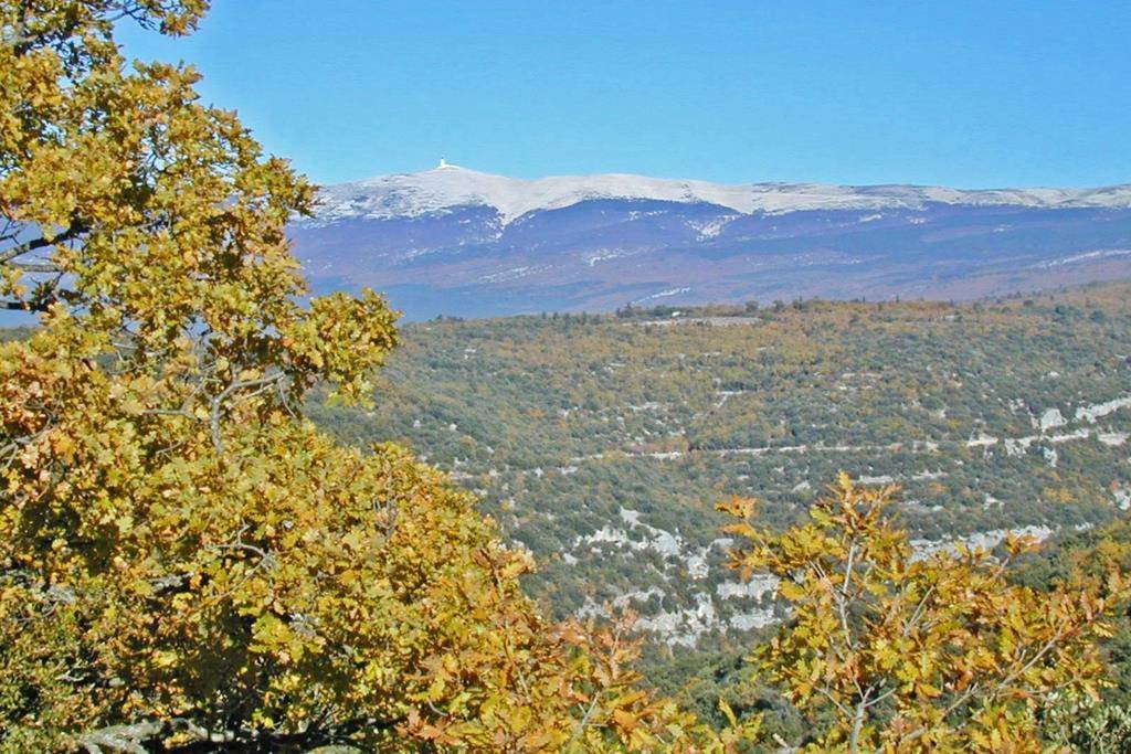 Estate in Gordes, Provence-Alpes-Côte d'Azur, France 2 - 16256682