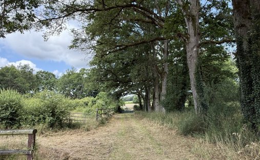 Castle for Sale in Conquereuil, Pays de la Loire, France