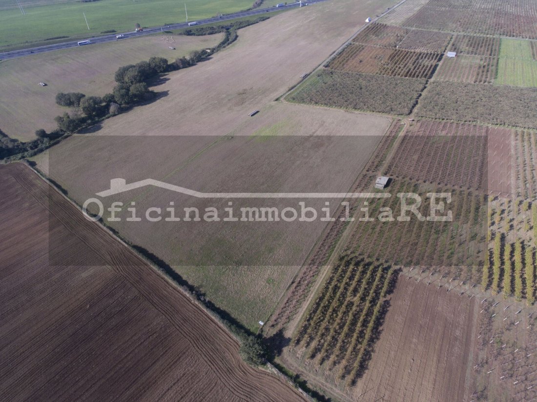 Land in Codevigo, Veneto, Italy 2 - 16259293