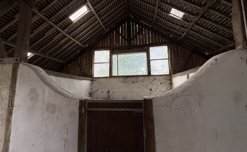 Detail | Albert Honig