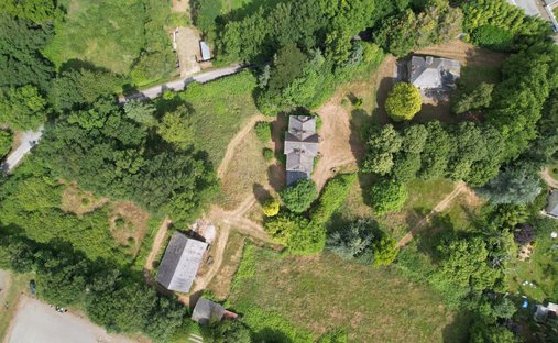 Detail | Albert Honig - 4