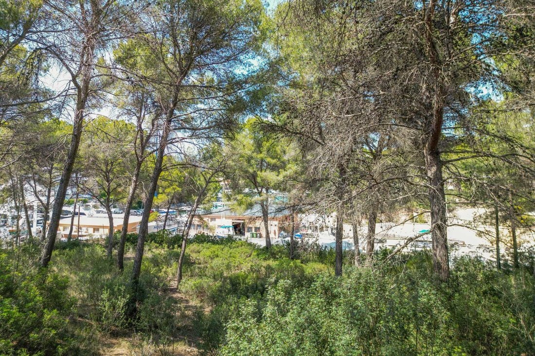 Land in Rotes Velles, Calvia, Balearic Islands 3 - 16255553