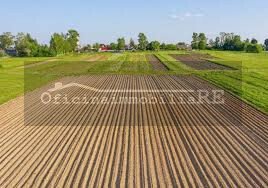 Land in Codevigo, Veneto, Italy 5 - 16259293