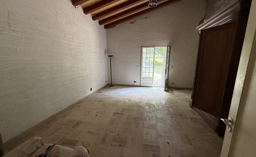 Detail | Albert Honig