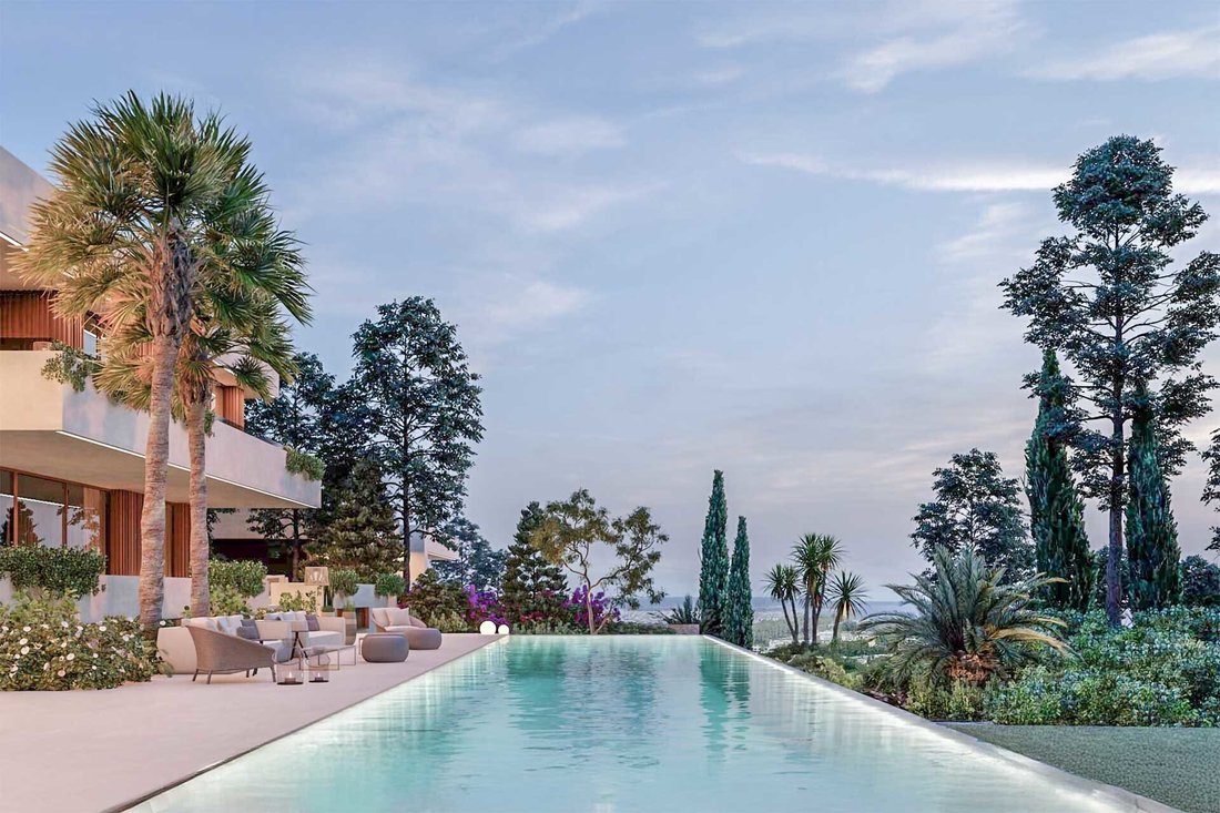 Land in Palma, Balearic Islands, Spain 3 - 16256441