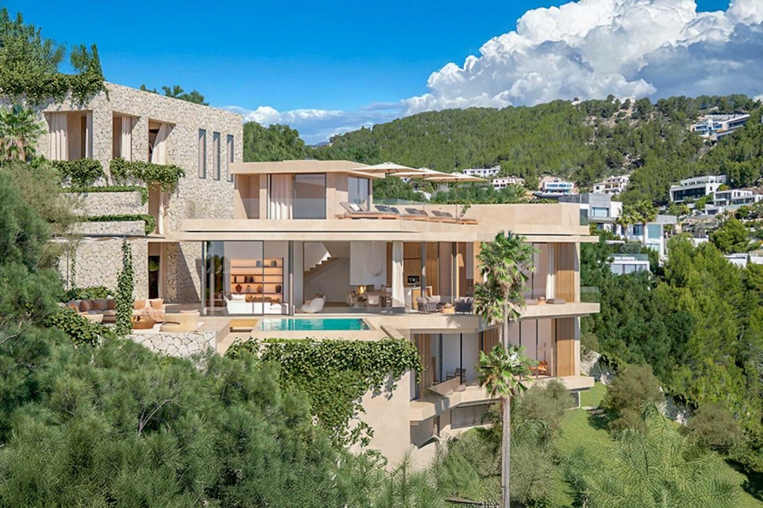 Land in Palma, Balearic Islands, Spain 1 - 16256087