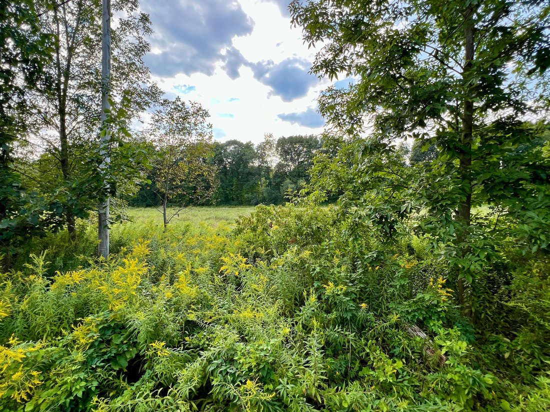 Land in Gansevoort, New York, United States 4 - 16255143