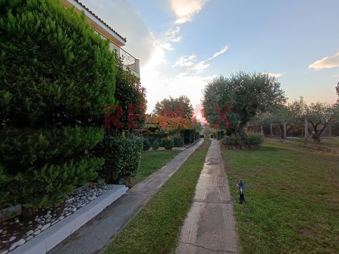 Condo in Oropos, Attica, Greece 3 - 16259448
