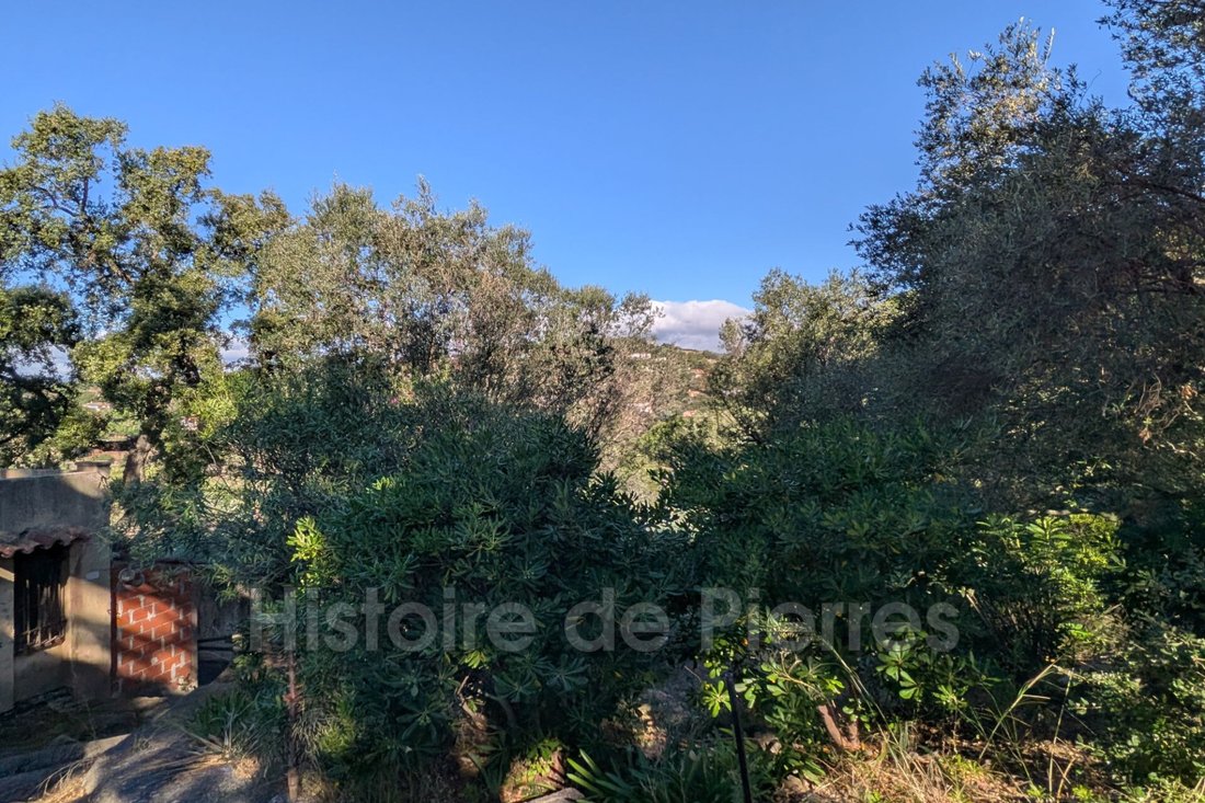 Villa in Grimaud, Provence-Alpes-Côte d'Azur, France 5 - 16220978