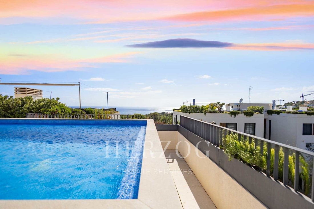 Apartment in Calvia, Balearic Islands, Spain 5 - 16256710