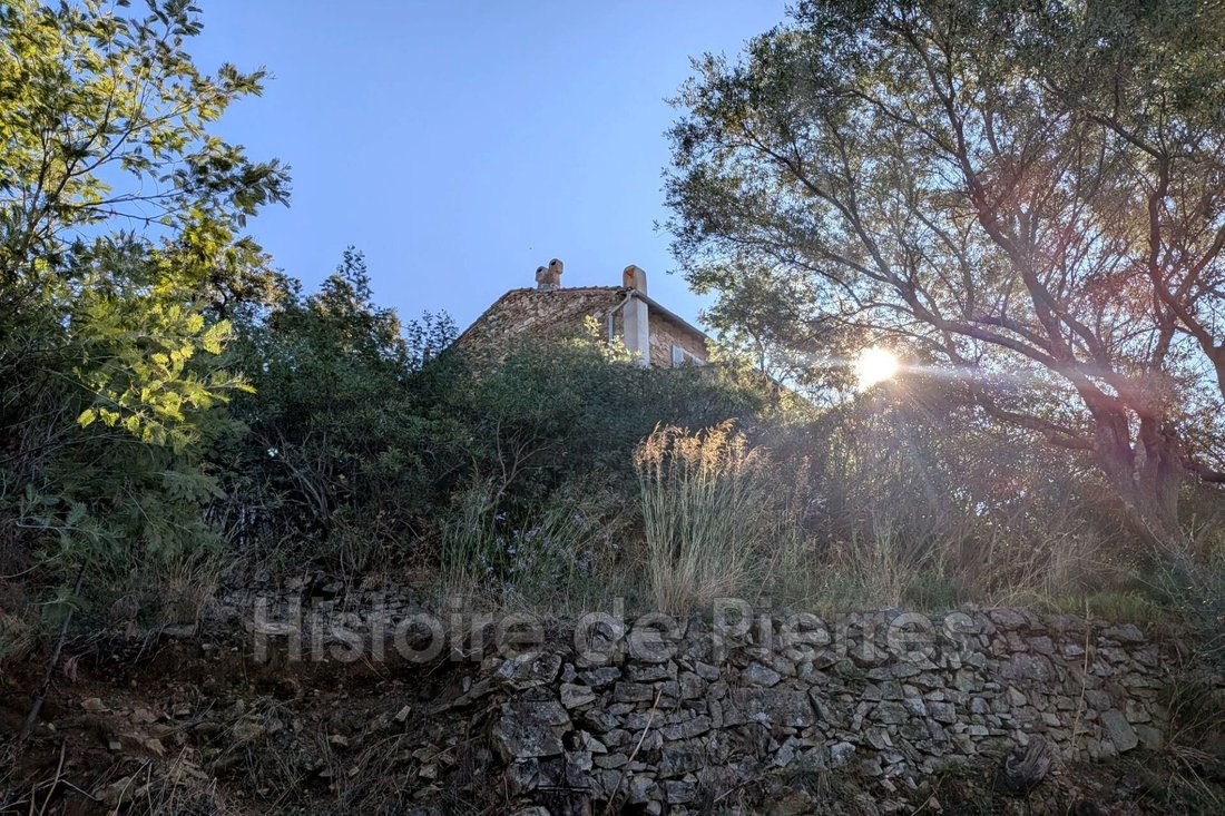 Villa in Grimaud, Provence-Alpes-Côte d'Azur, France 4 - 16220978