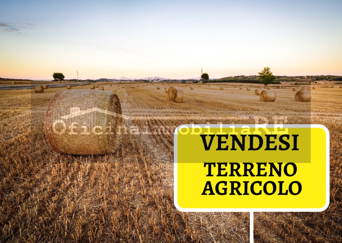 Land in Codevigo, Veneto, Italy 1 - 16259293