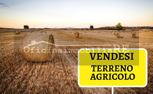 Land in Codevigo, Veneto, Italy 1