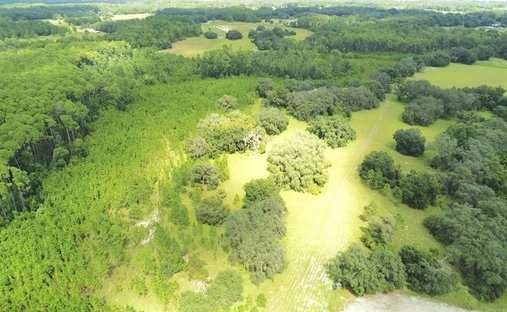 Land in Crescent City, Florida, United States 1