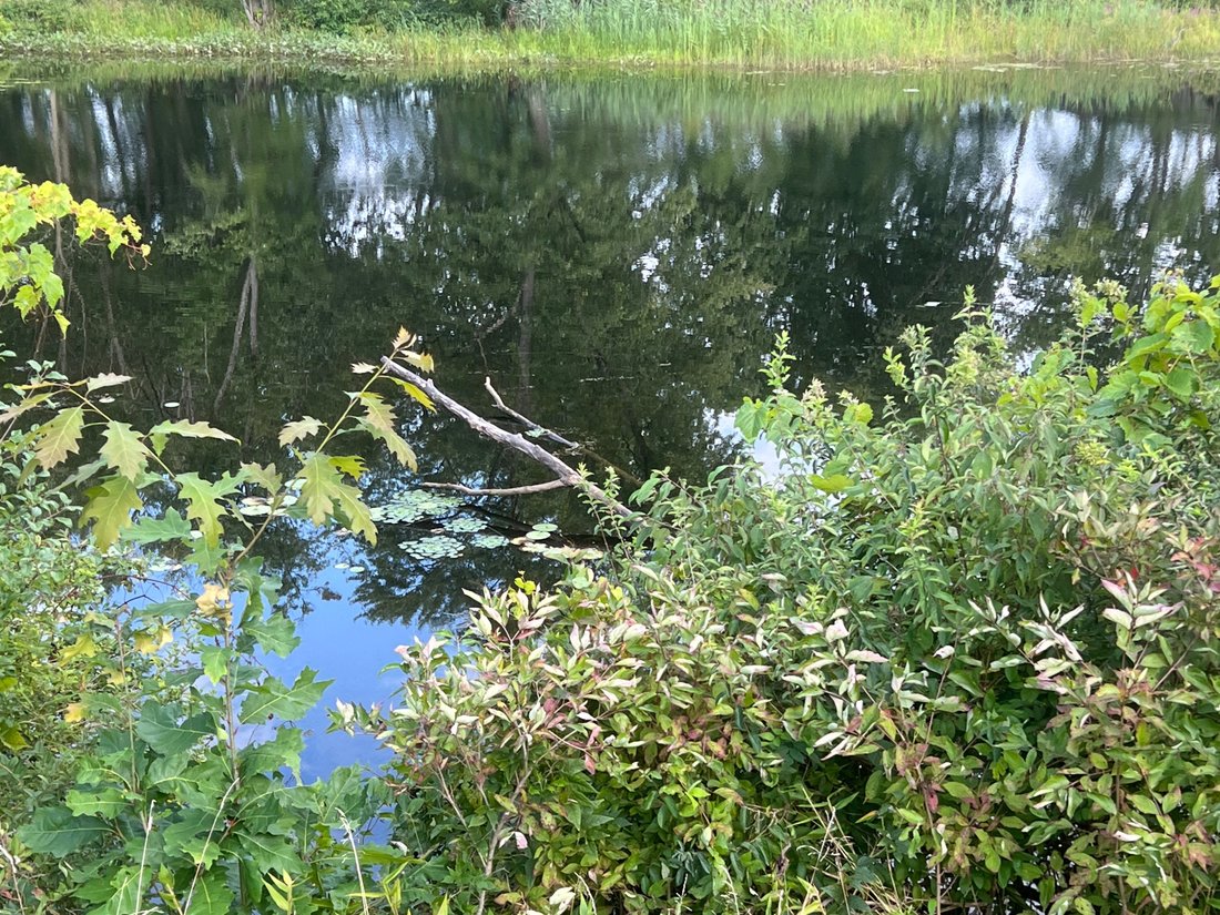Land in Gansevoort, New York, United States 1 - 16255143