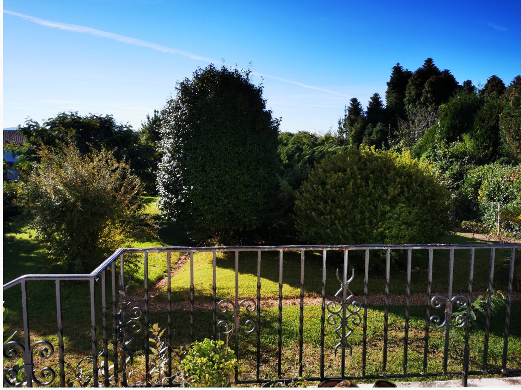 Apartment in Guéthary, Nouvelle-Aquitaine, France 4 - 16256106