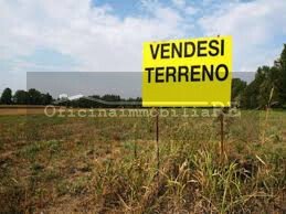 Land in Codevigo, Veneto, Italy 3 - 16259293
