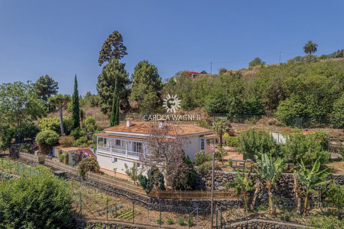 Villa in Santa Cruz de la Palma, Canary Islands, Spain 3 - 16256333