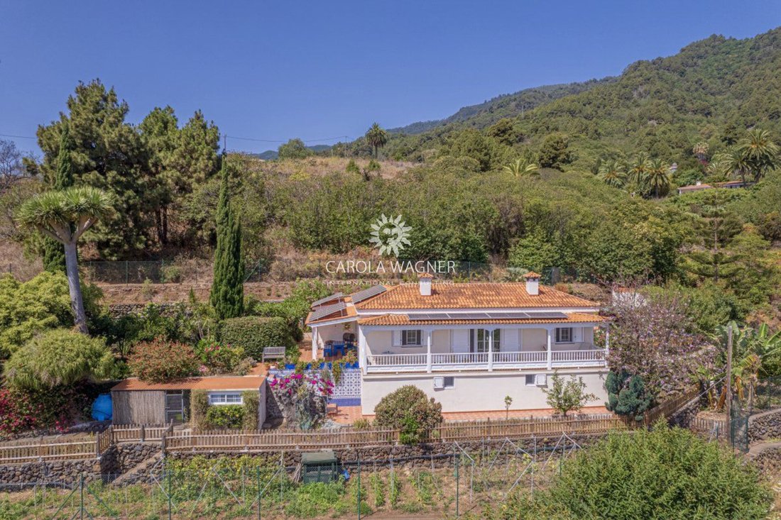 Villa in Santa Cruz de la Palma, Canary Islands, Spain 1 - 16256333