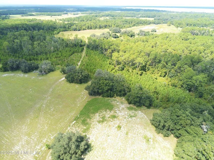 Land in Crescent City, Florida, United States 2 - 16210802