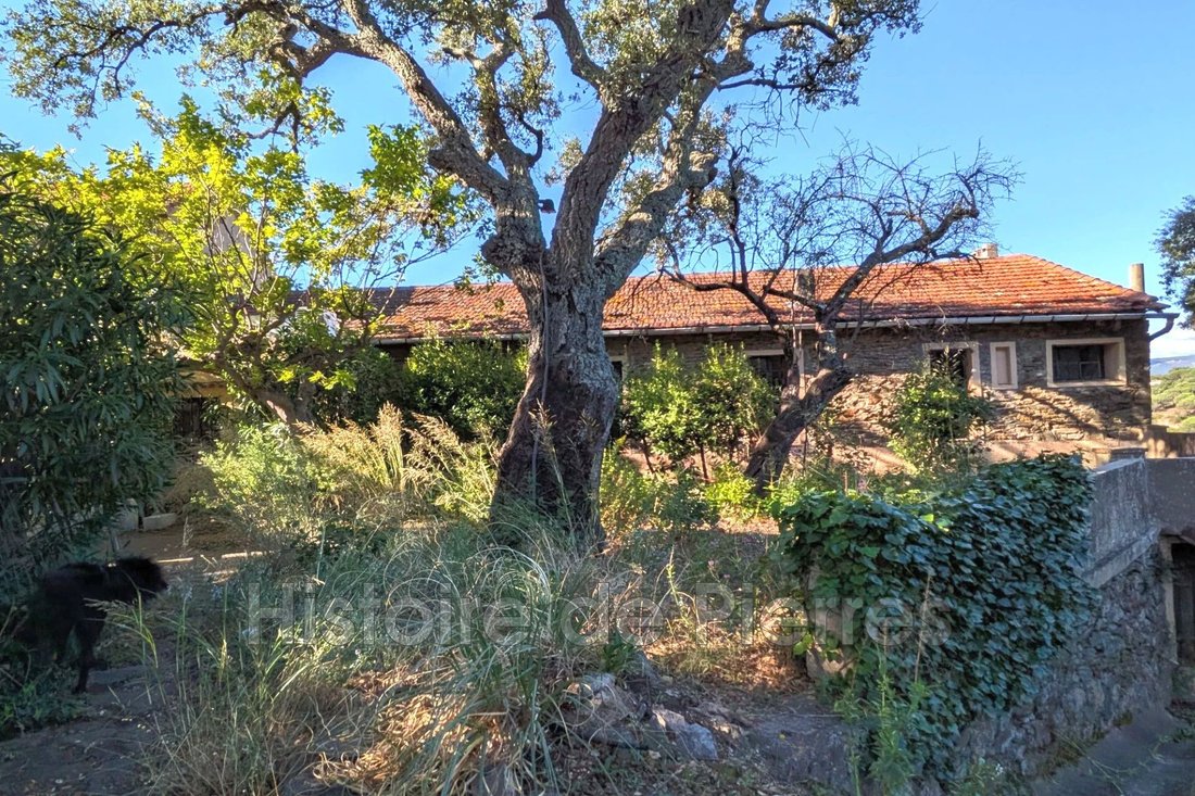 Villa in Grimaud, Provence-Alpes-Côte d'Azur, France 2 - 16220978
