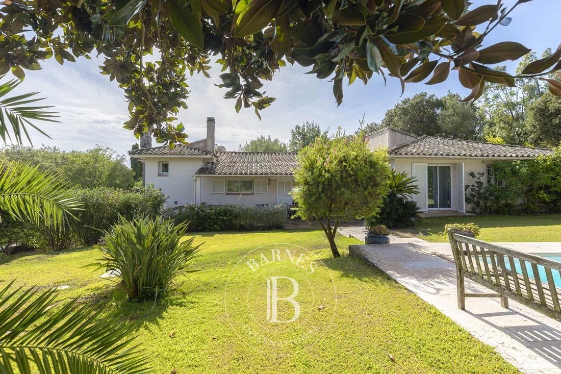 Villa in Porto-Vecchio, Corsica, France 3 - 16255463