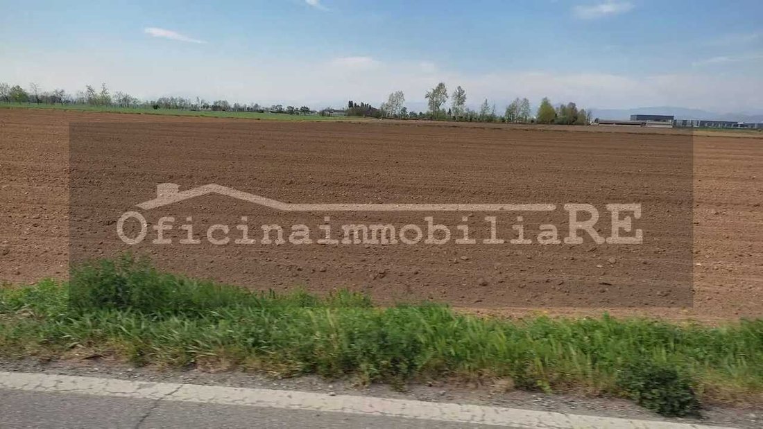 Land in Codevigo, Veneto, Italy 4 - 16259293