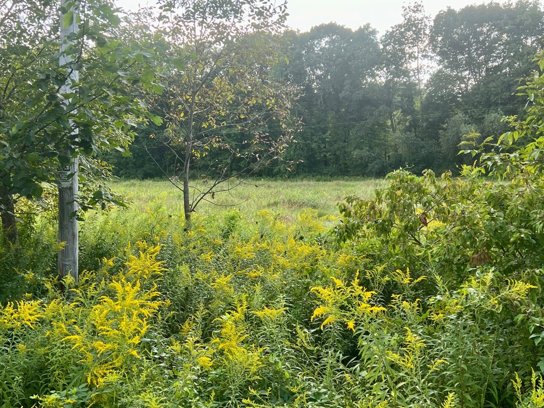 Land in Gansevoort, New York, United States 2 - 16255143