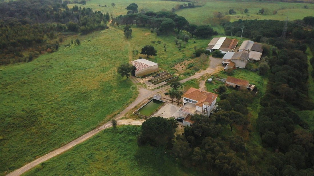 Farm Ranch in Cidade de Santarem, Santarem District, Portugal 4 - 13908117